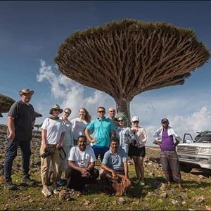 Socotra (28)