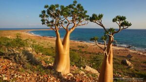 Ecotourism – Eco-camp Tour