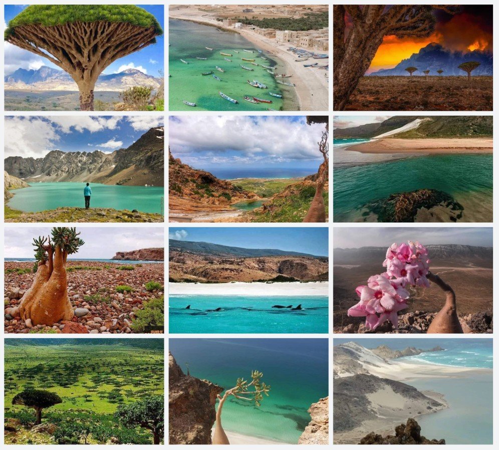 Socotra