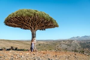 Explore Endemic Fauna & Flora