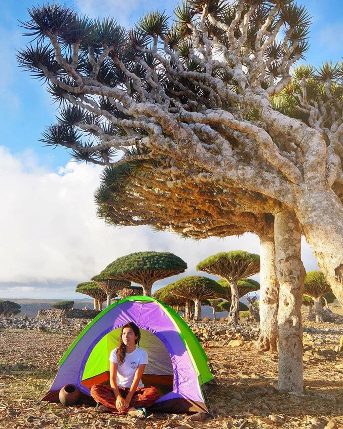 Socotra