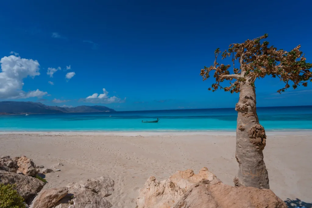 beach-in-Socotra-3